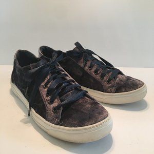 Dolce Vita -- Velvet Sneakers Size 8.5